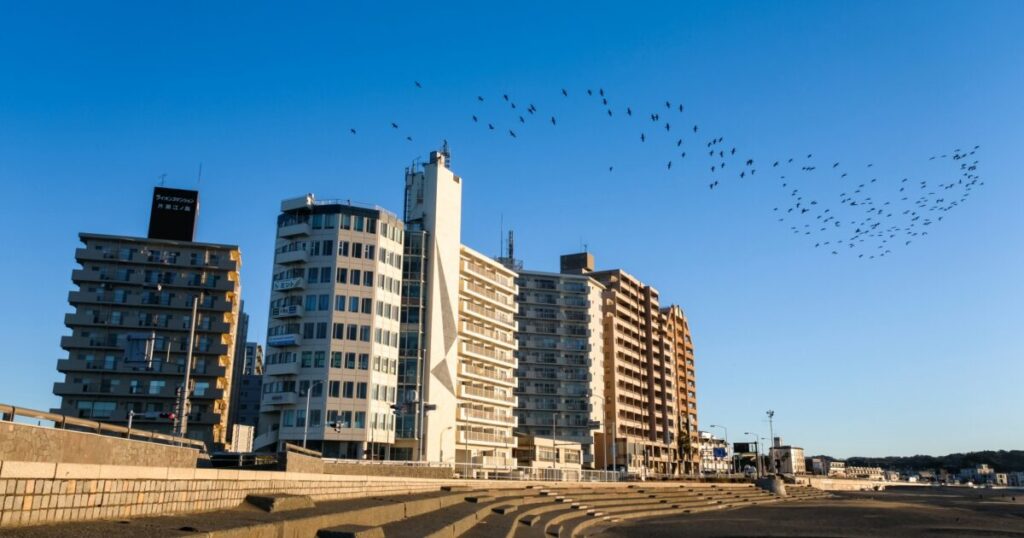 湘南海岸沿いの高層マンションと青空