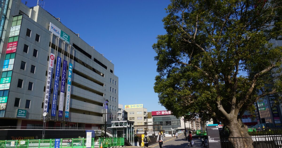 藤沢駅北口広場と大きな街路樹のある風景