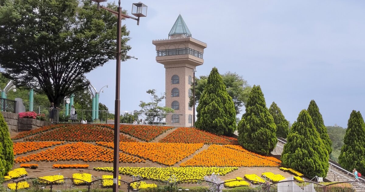 相模原麻溝公園の展望塔と整備された花畑