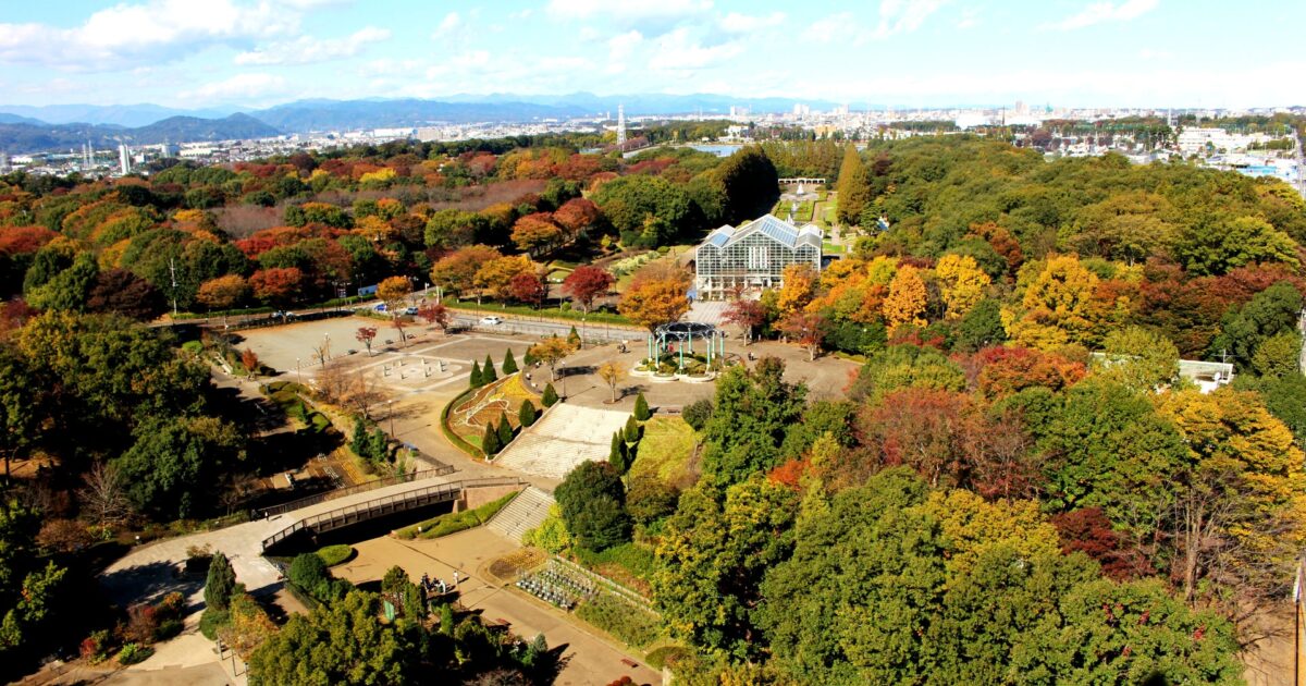 相模原麻溝公園の展望塔から見下ろす紅葉の園内風景
