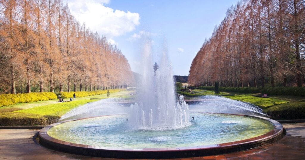 相模原麻溝公園の噴水とメタセコイア並木