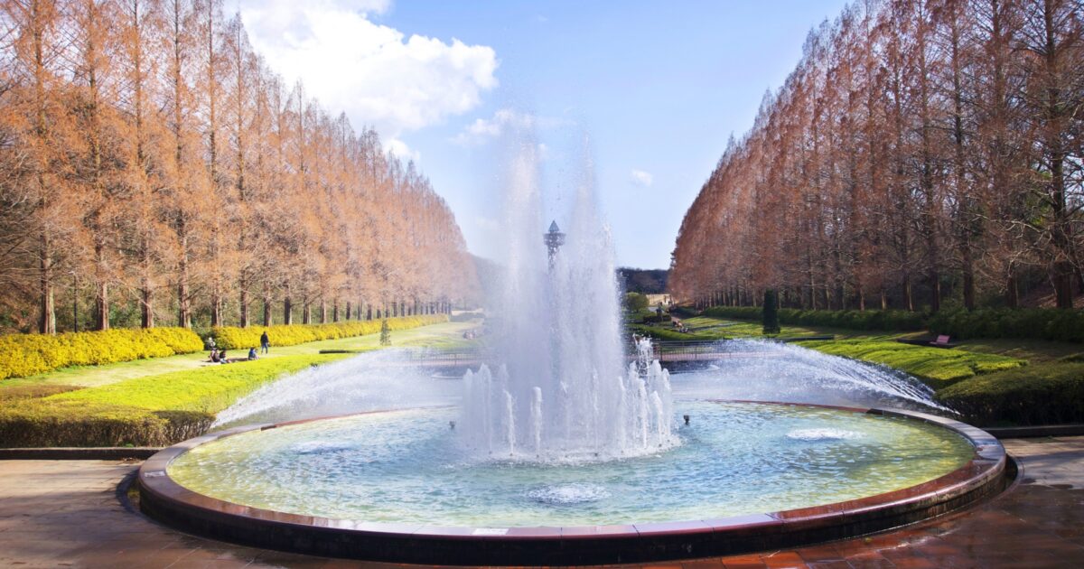 相模原麻溝公園の噴水とメタセコイア並木