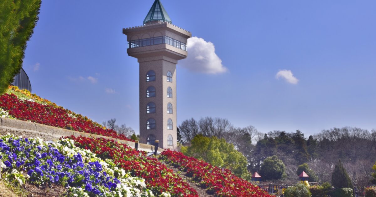 相模原麻溝公園展望塔と色とりどりの花壇