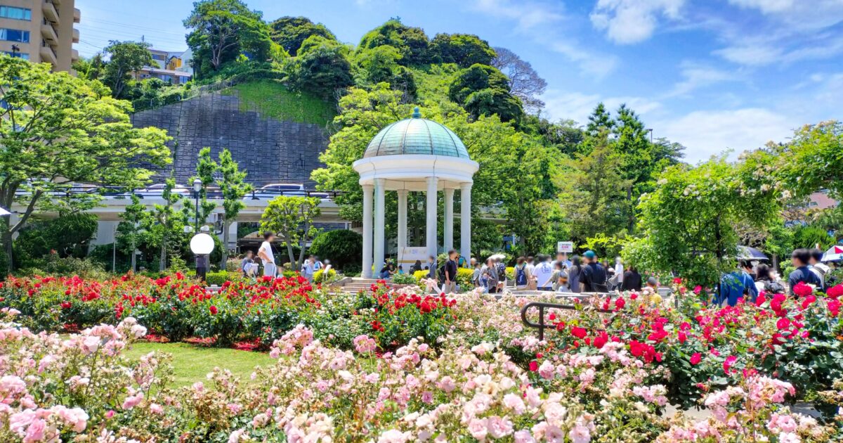 ヴェルニー公園のバラ園と白い西洋風あずまや