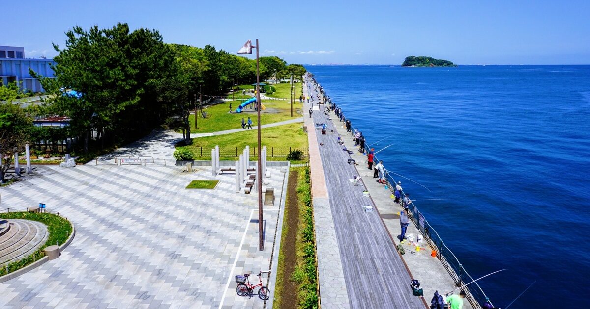 うみかぜ公園の海沿い遊歩道と釣りを楽しむ人々