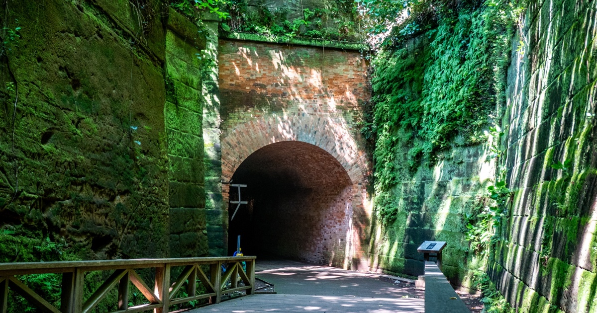 猿島の緑に囲まれた歴史的な煉瓦造りのトンネル